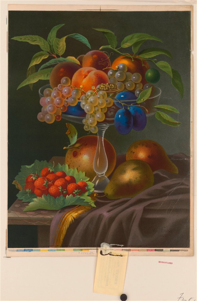 Fruit no. 2 LCCN2003681756