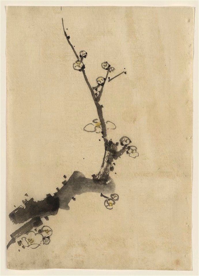 Fruit tree branch with blossoms LCCN2009631932