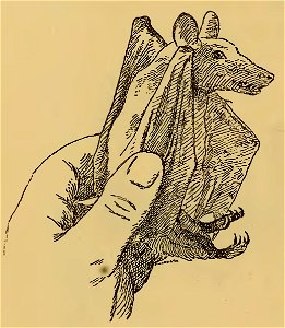 Frédéric Christol - L'art dans l'Afrique australe, 1911 (page 148-1 crop)
