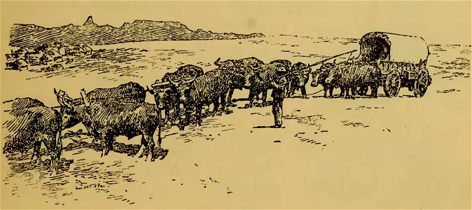 Frédéric Christol - L'art dans l'Afrique australe, 1911 (page 167 crop)
