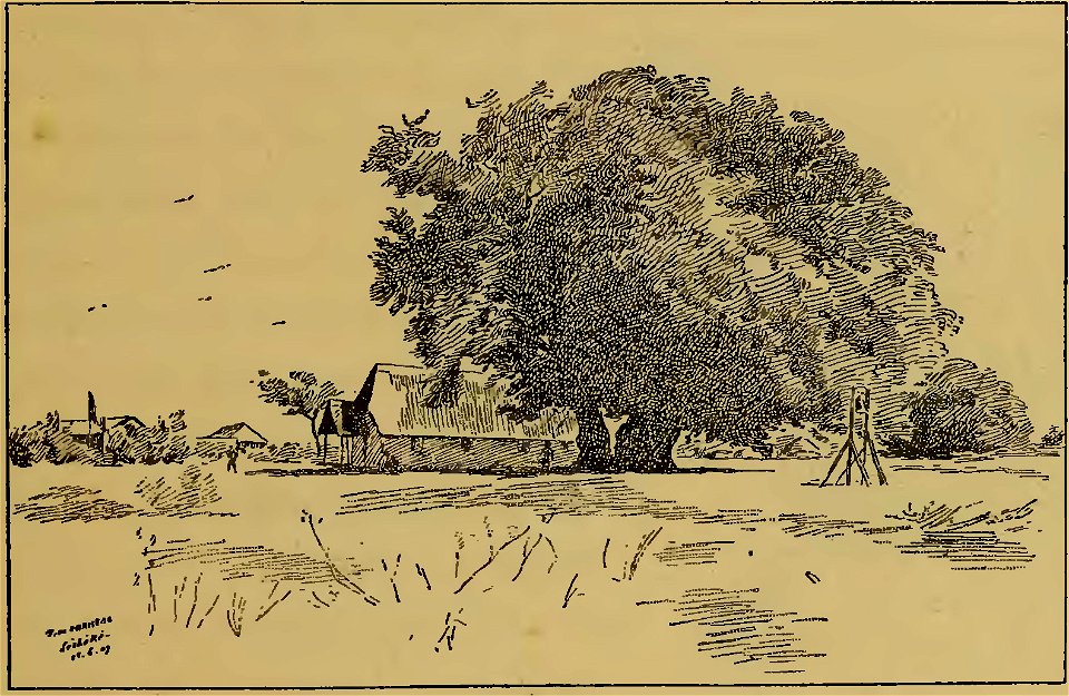 Frédéric Christol - L'art dans l'Afrique australe, 1911 (page 143 crop-1)