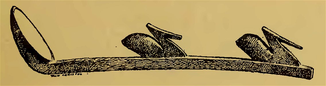 Frédéric Christol - L'art dans l'Afrique australe, 1911 (page 157-1 crop)