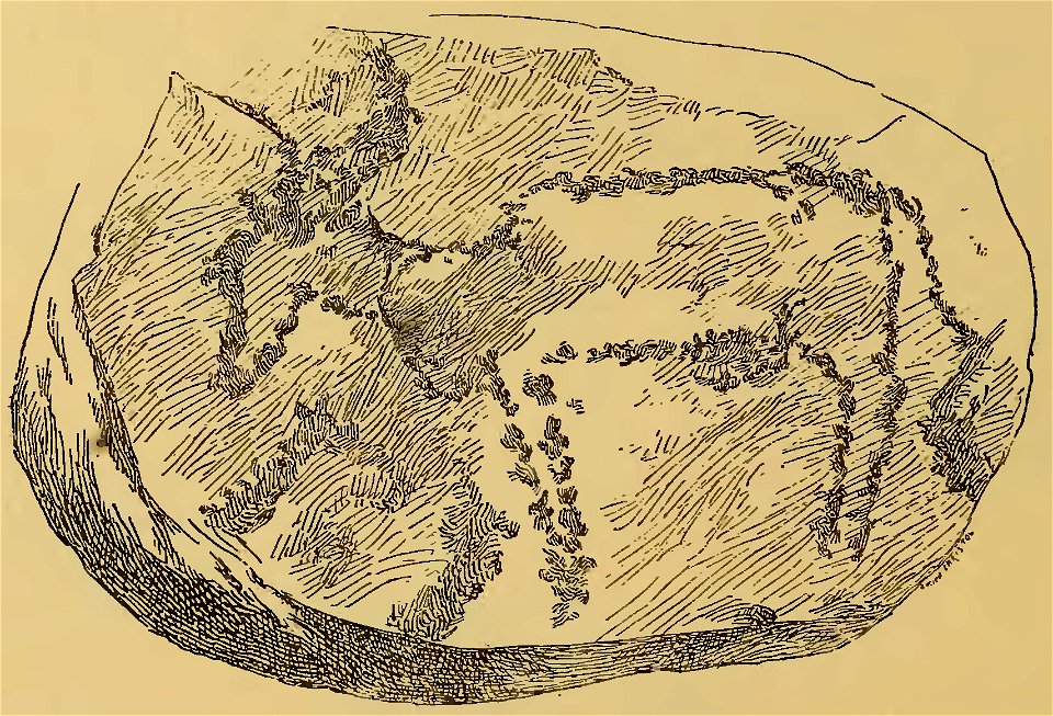 Frédéric Christol - L'art dans l'Afrique australe, 1911 (page 56 crop)