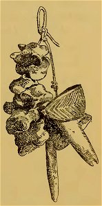 Frédéric Christol - L'art dans l'Afrique australe, 1911 (page 121 crop)