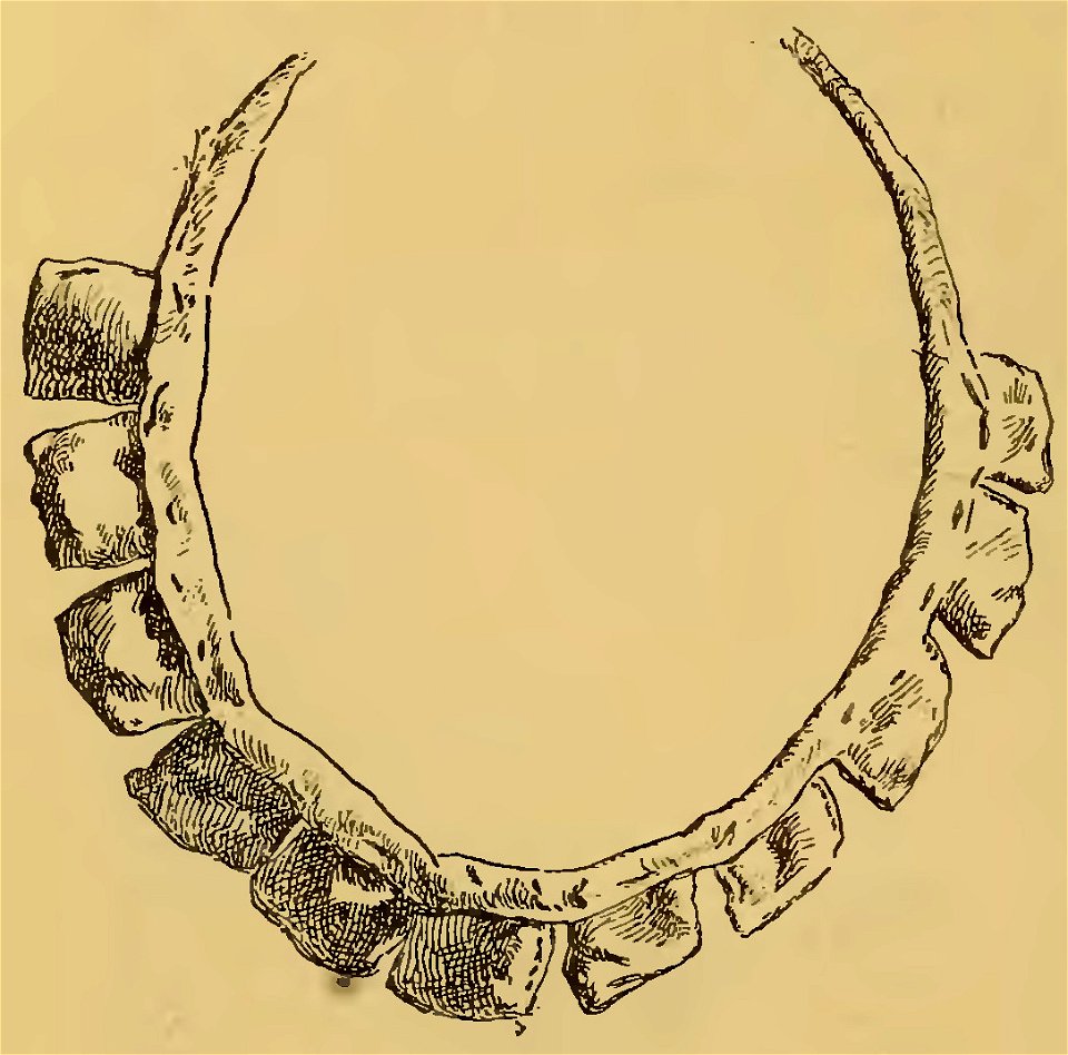 Frédéric Christol - L'art dans l'Afrique australe, 1911 (page 94 crop-1)