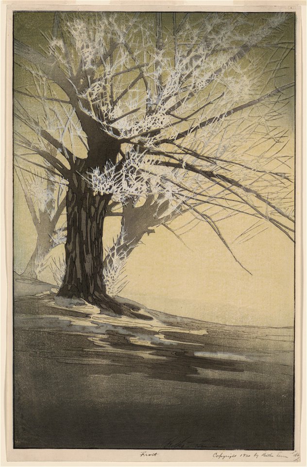Frost - Bertha Lum. LCCN90713272