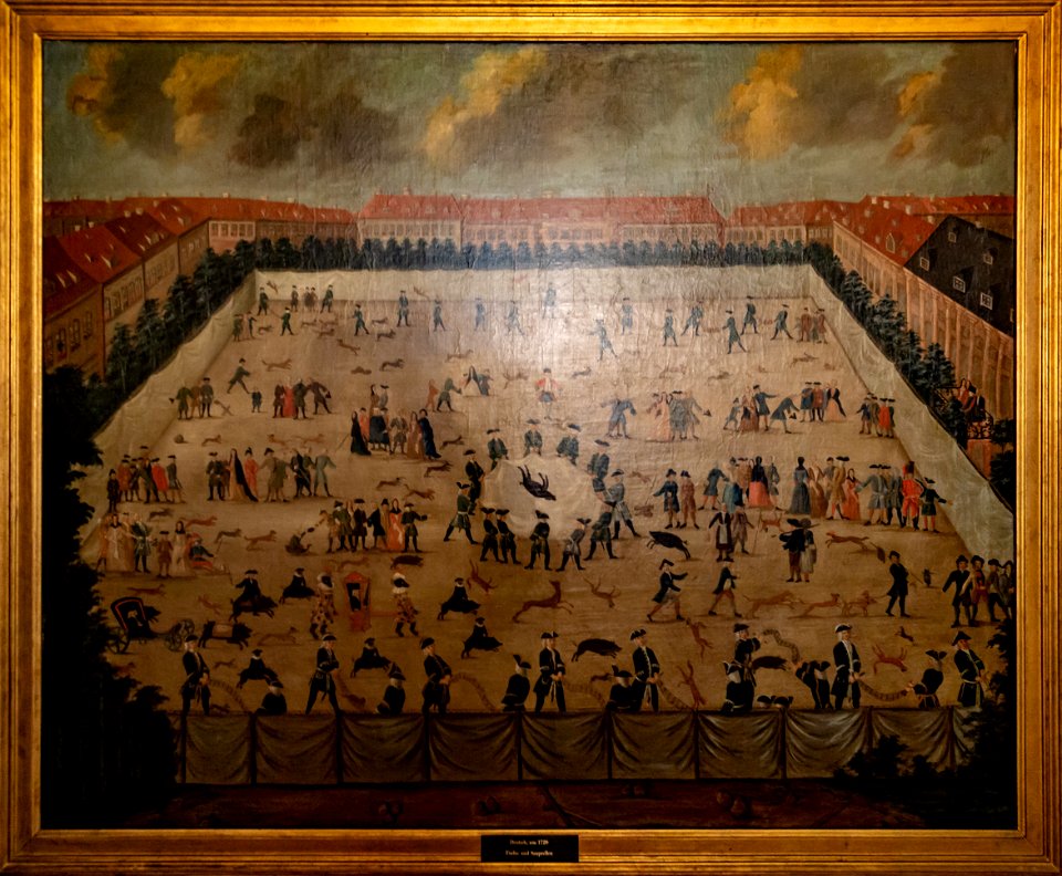 Fuchs- und Sauprellen in Jagdschloss Grunewald-4842
