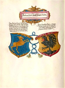 Fugger Ehrenbuch 361