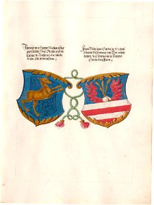 Fugger Ehrenbuch 366