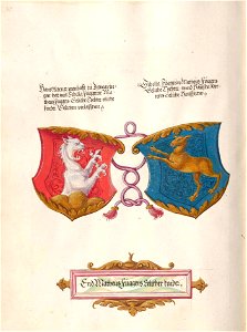 Fugger Ehrenbuch 369