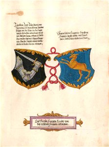 Fugger Ehrenbuch 374