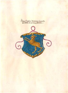 Fugger Ehrenbuch 394