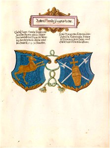 Fugger Ehrenbuch 370