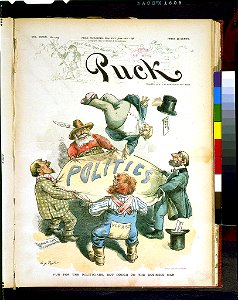 Fun for the politicians, but rough on the business man - C.J. Taylor LCCN97515778