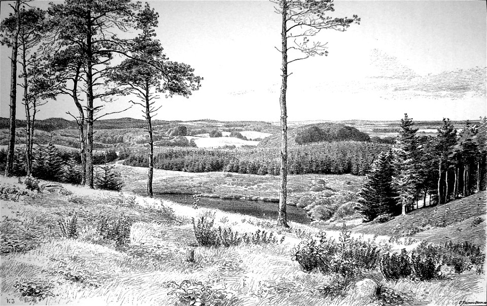 Fynske Alper set fra Holstenshus Dyrehave Carl Jensen