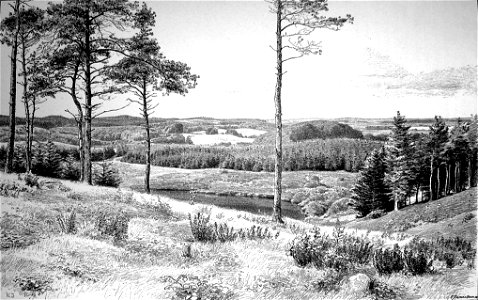 Fynske Alper set fra Holstenshus Dyrehave Carl Jensen