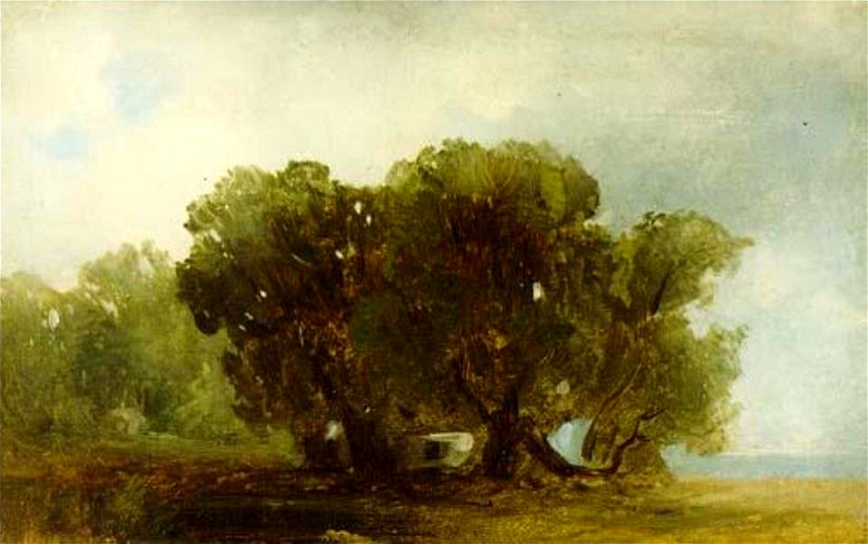 Fyodor Vasilyev Oaks Novosibirsk