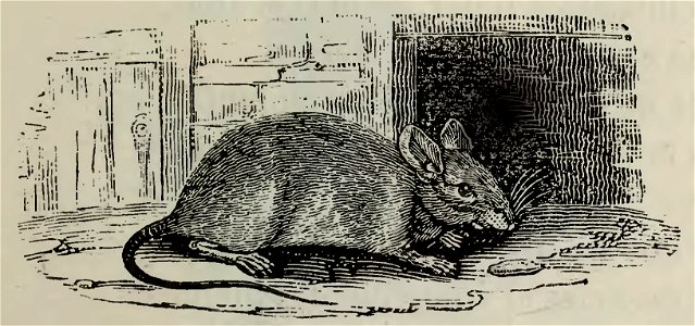 Fábulas de Samaniego (1882) (page 23 crop)