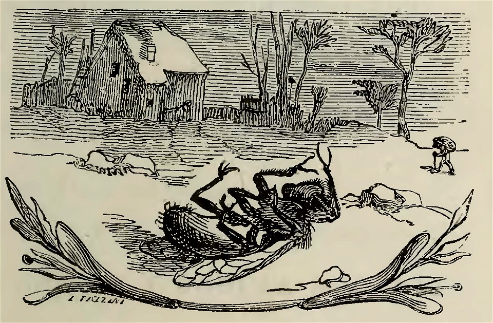 Fábulas de Samaniego (1882) (page 41 crop)