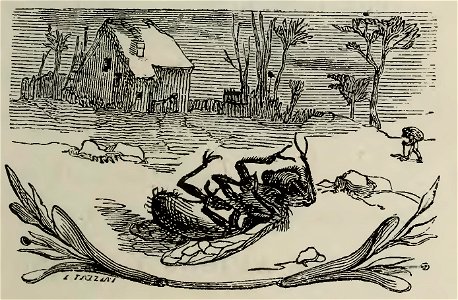 Fábulas de Samaniego (1882) (page 41 crop)