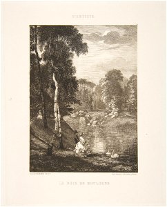 Félix Bracquemond, Le Bois de Boulogne - The Metropolitan Museum of Art