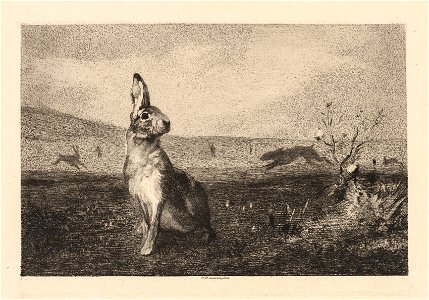 Félix Bracquemond (French, 1833-1914) - The Hare (Le Lièvre) - 2016.142 - Cleveland Museum of Art