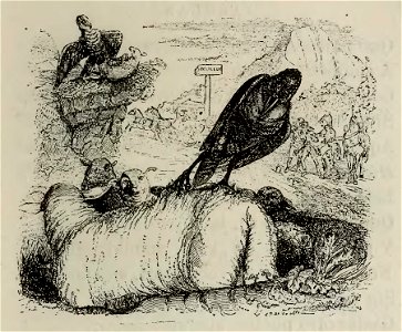 Fábulas de Samaniego (1882) (page 89 crop)