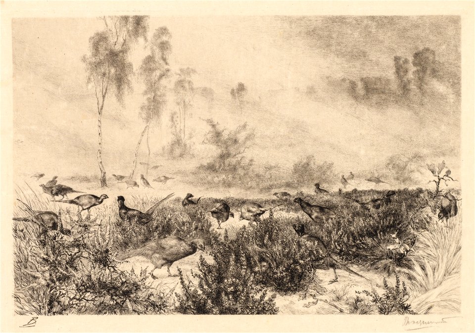 Félix Bracquemond (French, 1833-1914) - Morning Mists (Brumes de Matin) - 2016.141 - Cleveland Museum of Art