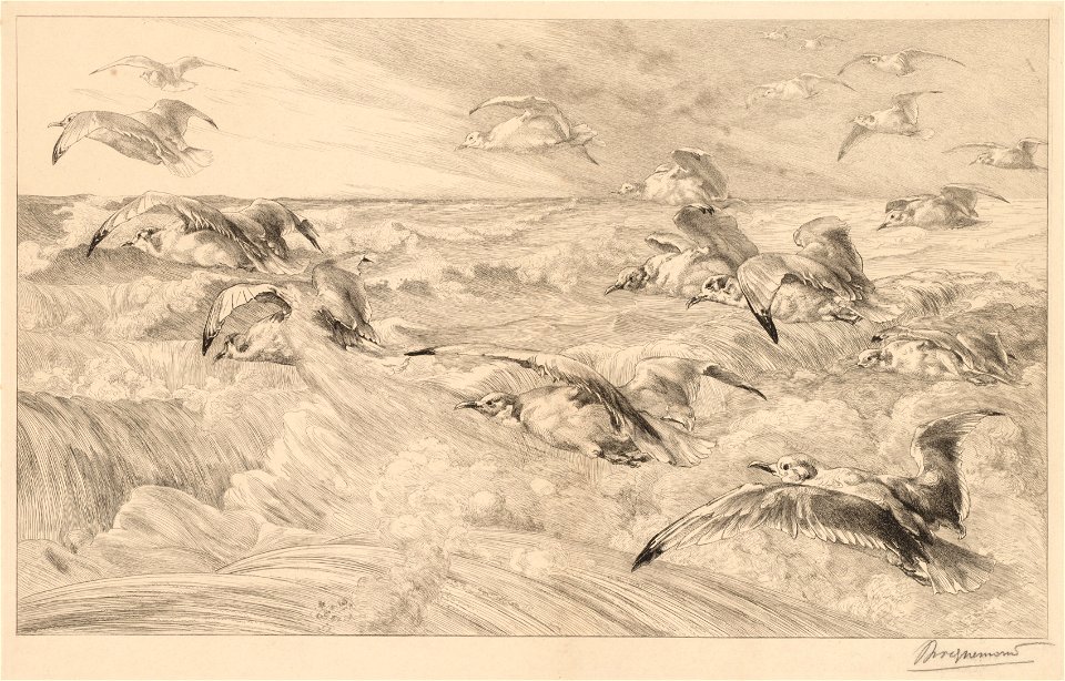 Félix Bracquemond (French, 1833-1914) - Seagulls (Les Mouettes) - 2016.140 - Cleveland Museum of Art