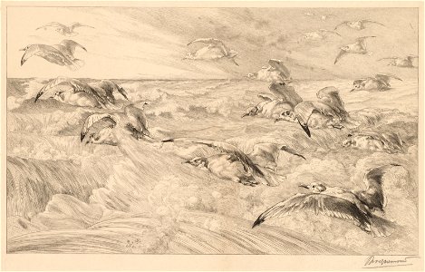 Félix Bracquemond (French, 1833-1914) - Seagulls (Les Mouettes) - 2016.140 - Cleveland Museum of Art