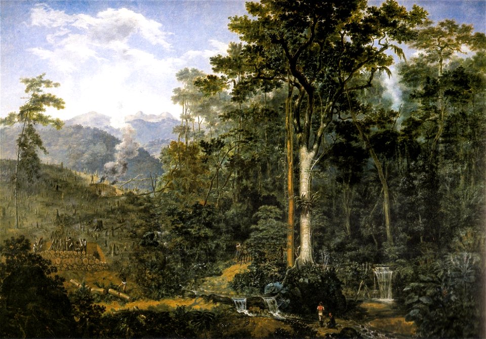 Félix Taunay - 1830 ca. - Mata Reduzida a Carvão