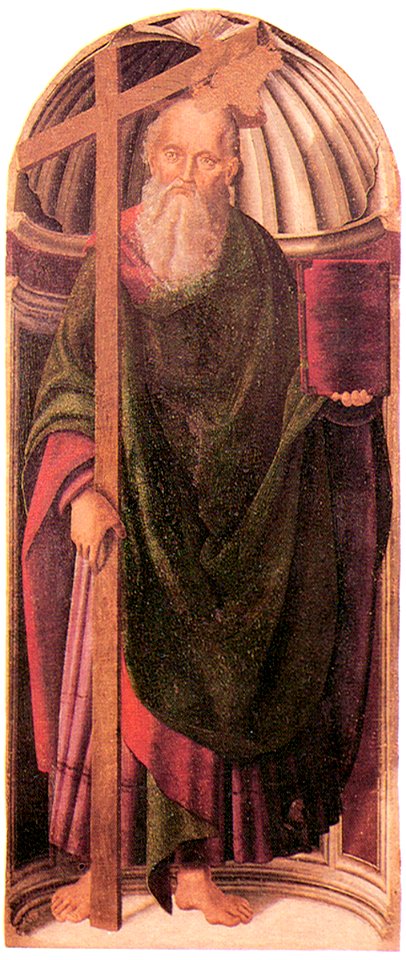 G Santi Apostol 2GN Marche Urbino