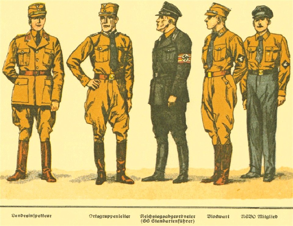 G Lebrecht Uniformen Abzeichen Fahnen der NSDAP Stahlhelmbund usw ca 1933 29 Tafel 19 Amtswalter und NSBO. Landesinspekteur Ortsgruppenleiter SS Reichstagsabgeordneter SS Standartenführer Blockwart Nazi Party uniforms ranks etc No cop