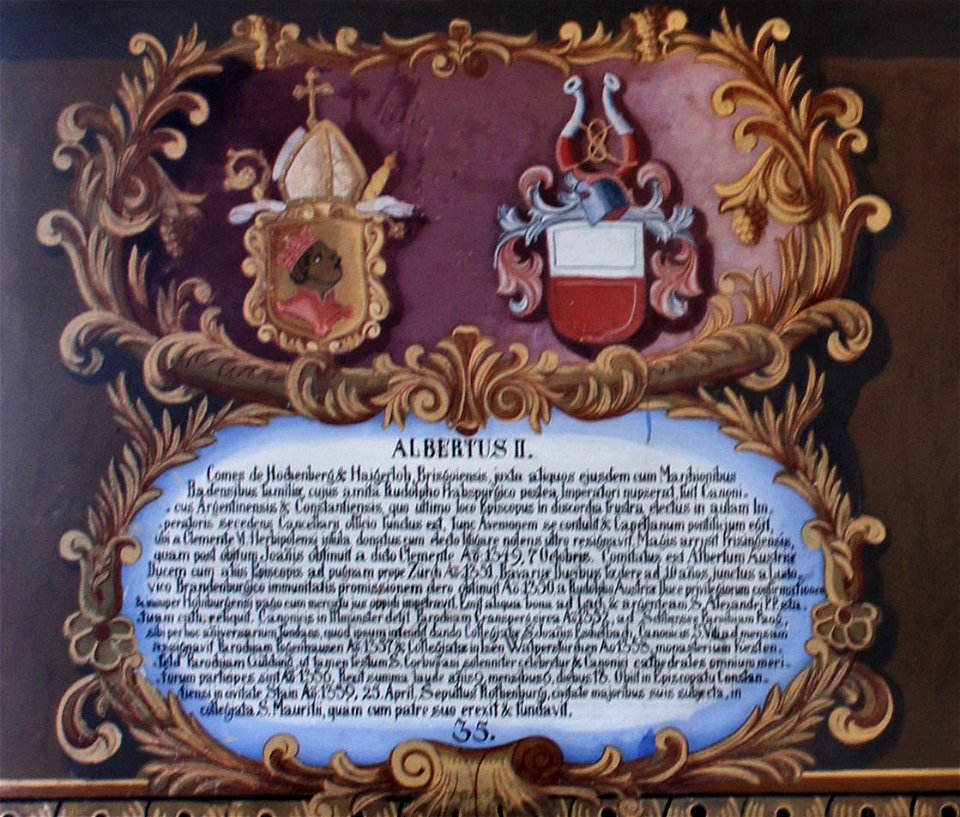 Fürstengang Tafel 35 - Albert II. von Hohenberg