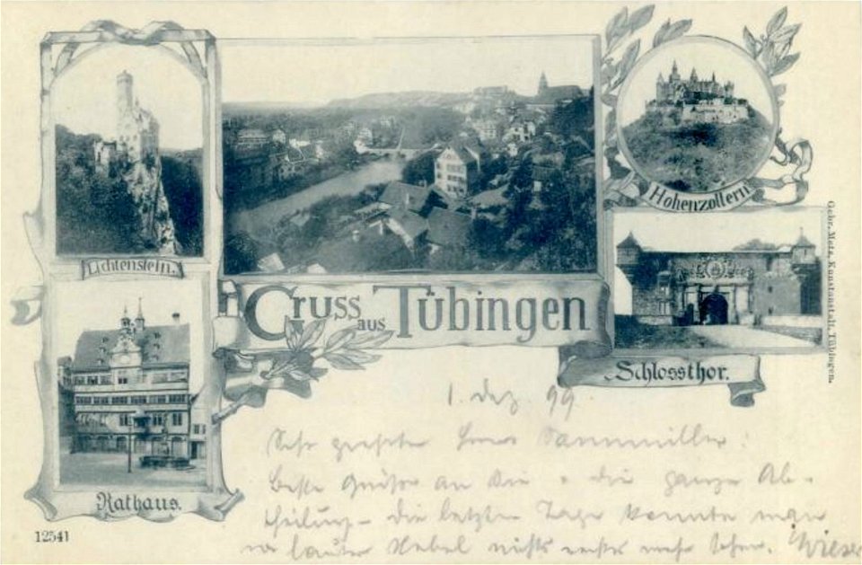 Gruss aus Tübingen (AK 12541 Gebr. Metz 1899)