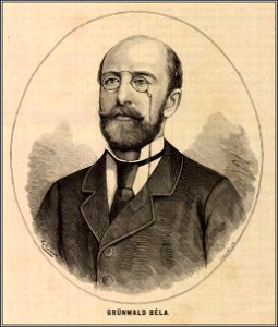 Grünwald Béla Magyarország és a nagyvilág 1878. 22. szám