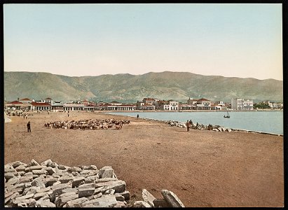 Grèce. Thessalie. Volo LCCN2017658137