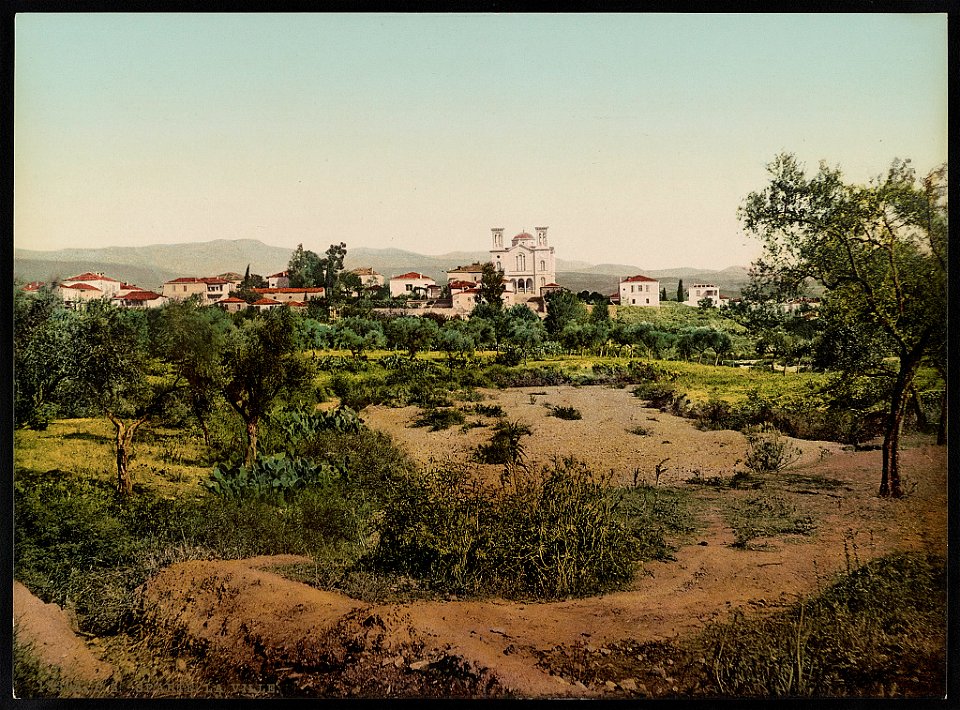 Grèce. Sparte la Ville LCCN2017658136