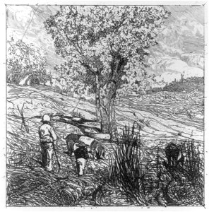 Guardino di Porci. ca. 1890 LCCN2003665289