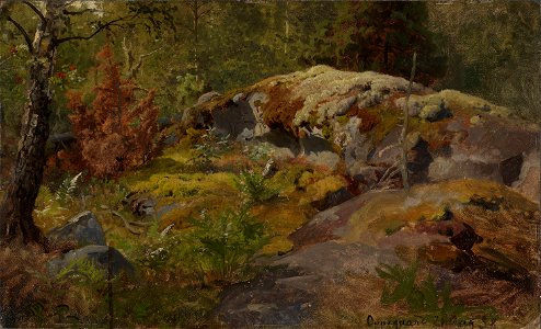 Hans Gude - Forest Floor - NG.M.00823 - National Museum of Art, Architecture and Design