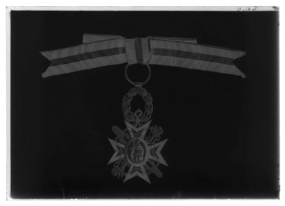Guelphenorden storkors - Livrustkammaren - 1645-negative