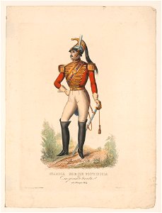 Guardia nobile pontificia cin grande tenuta nel 3 Giuguo 1847 LCCN2004669571