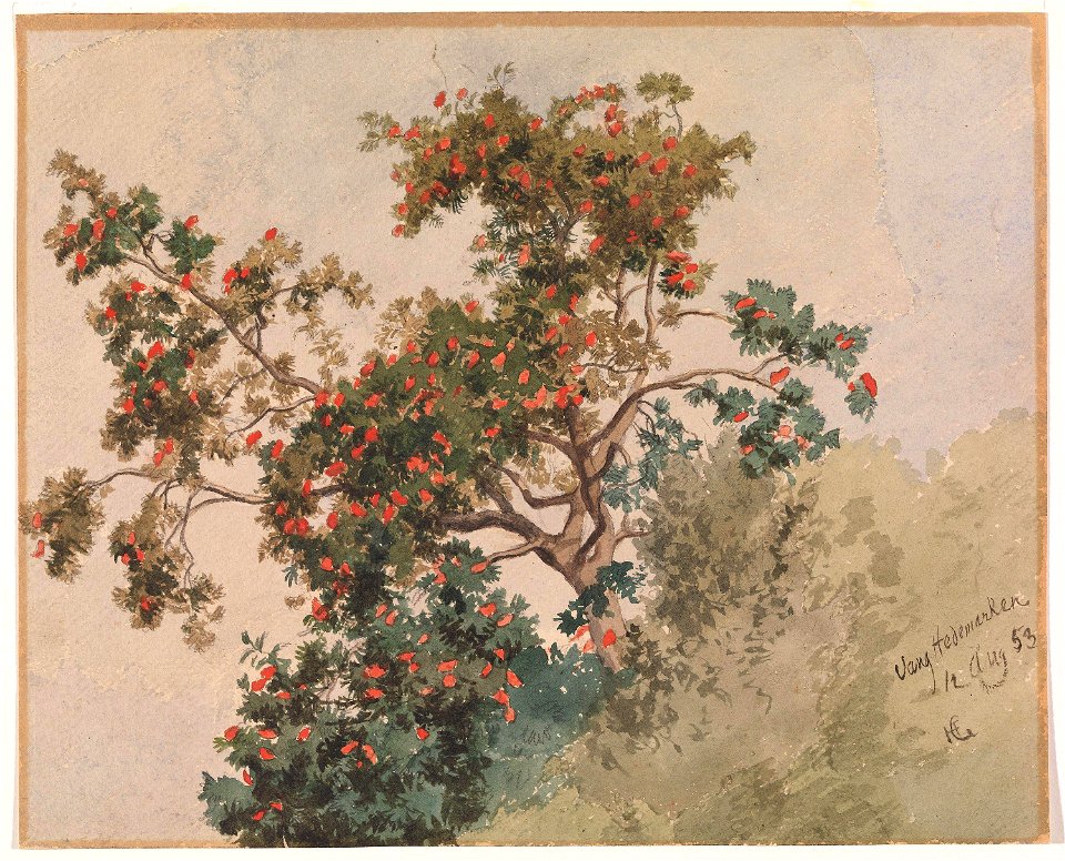 Hans Gude - Rognebærtre, Vang - NG.K&H.1959.0015 - National Museum of Art, Architecture and Design