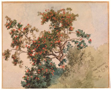 Hans Gude - Rognebærtre, Vang - NG.K&H.1959.0015 - National Museum of Art, Architecture and Design