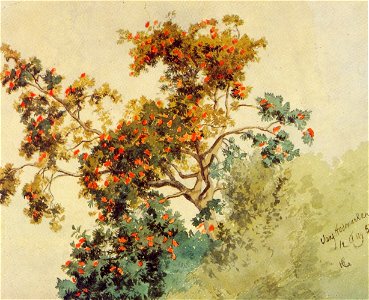 Hans Gude - Rognebærtre, Vang - 1853