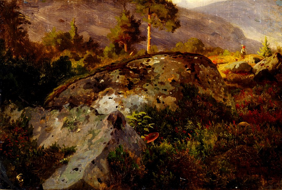 Hans Gude - Landscape Study from Vågå - Google Art Project