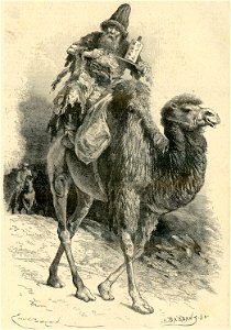 Guida Tartara