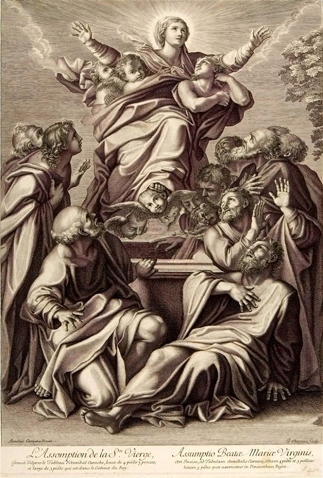 Guillaume Chasteau - Assomption de la Vierge