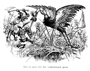 Guerre entre les grues et les grenouilles
