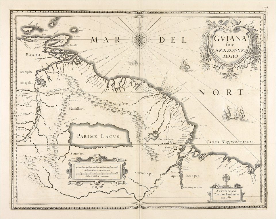 Guiana siue Amazonum regio - CBT 6625070